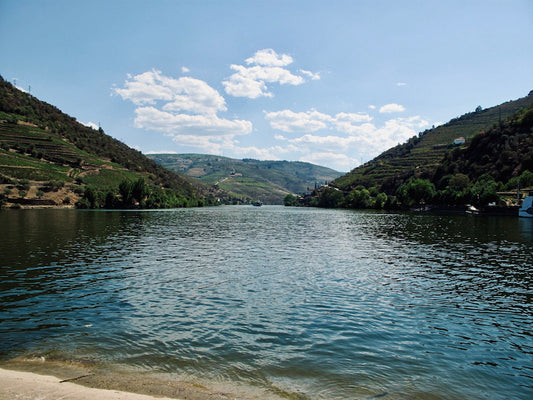 La Vallée du Douro : La beauté naturelle d'une région préservée